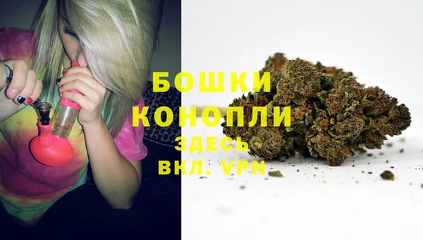ALPHA PVP Алексеевка